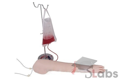 Multi-functional Intravenous Injection Arm Model