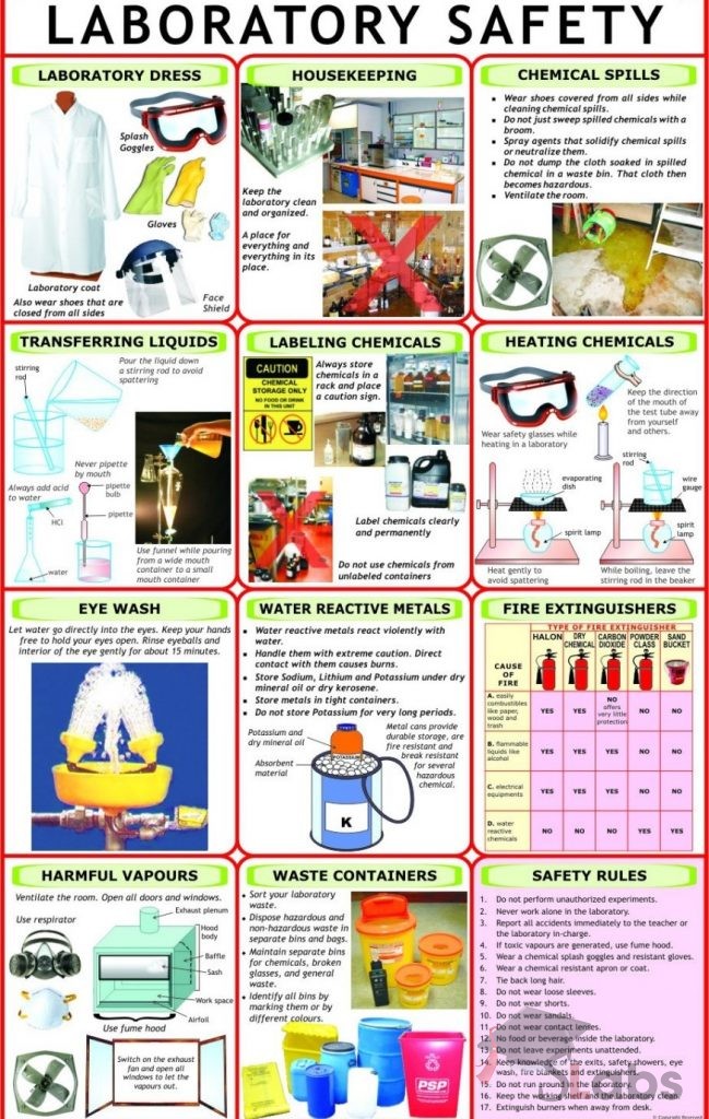 laboratory-safety-chart-scholars-labs