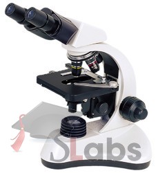 Pathological Microscope