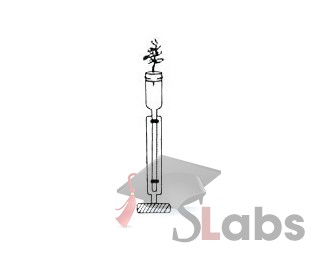 Apparatus For Demonstrate Suction Due To Transpiration