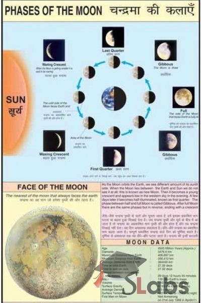 Phases Of The Moon Chart