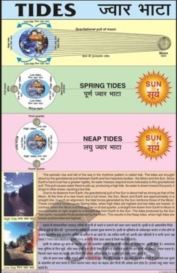 Spring And Neap Tides Chart