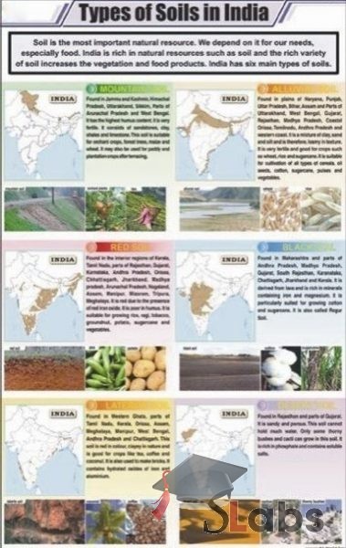 Types Of Soil In INDIA Chart