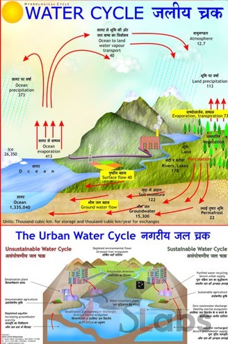 Water Cycle Chart